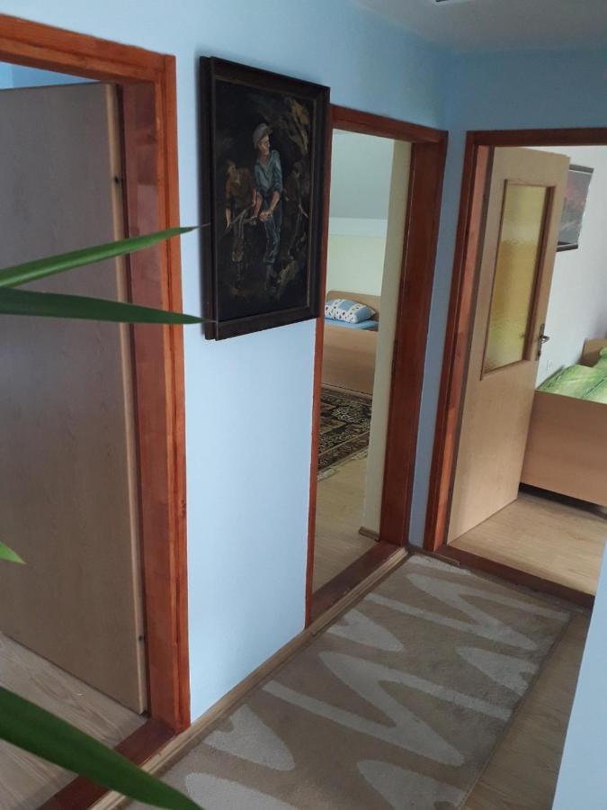 Prenociste Vitas Bed and Breakfast Miljevina Εξωτερικό φωτογραφία
