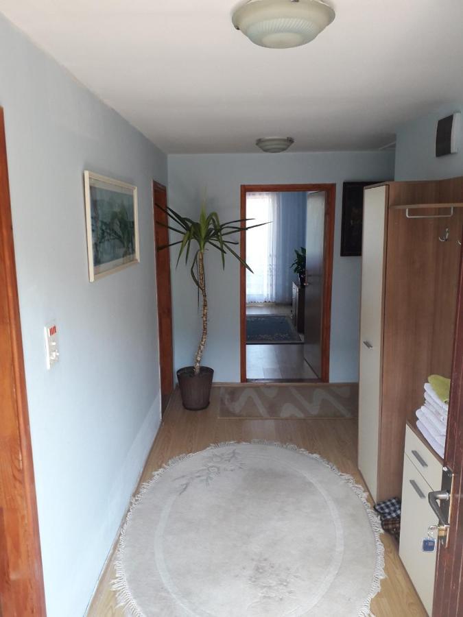 Prenociste Vitas Bed and Breakfast Miljevina Εξωτερικό φωτογραφία