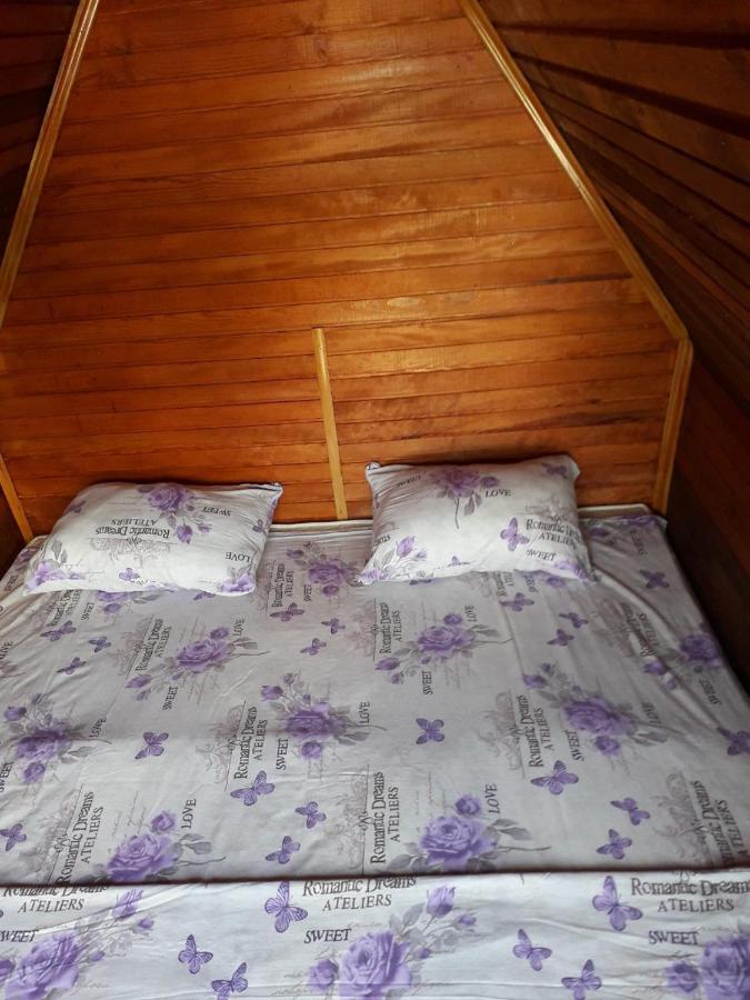 Prenociste Vitas Bed and Breakfast Miljevina Εξωτερικό φωτογραφία