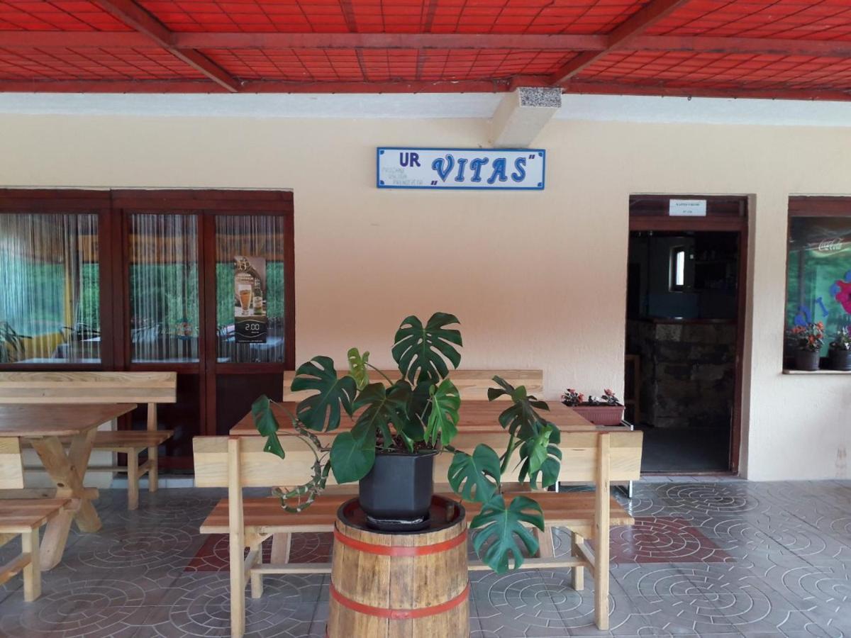 Prenociste Vitas Bed and Breakfast Miljevina Εξωτερικό φωτογραφία